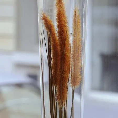 Auriane Porte De Versailles 2*